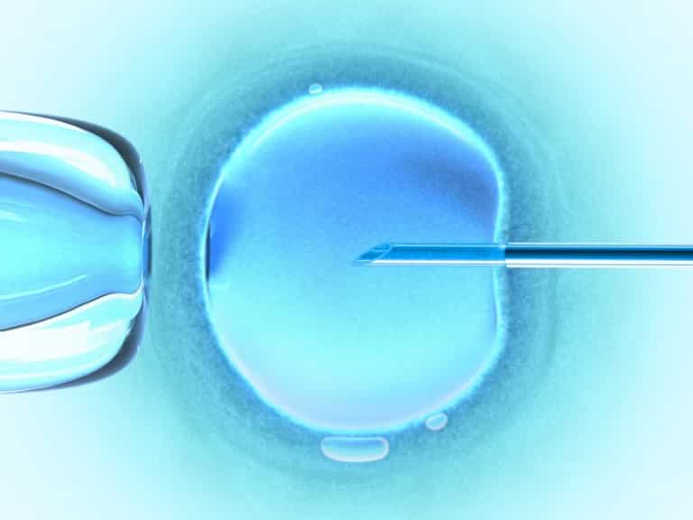 Wow! A total of 6m babies have been born through IVF worldwide Wow! A total of 6m babies have been born through IVF worldwide
