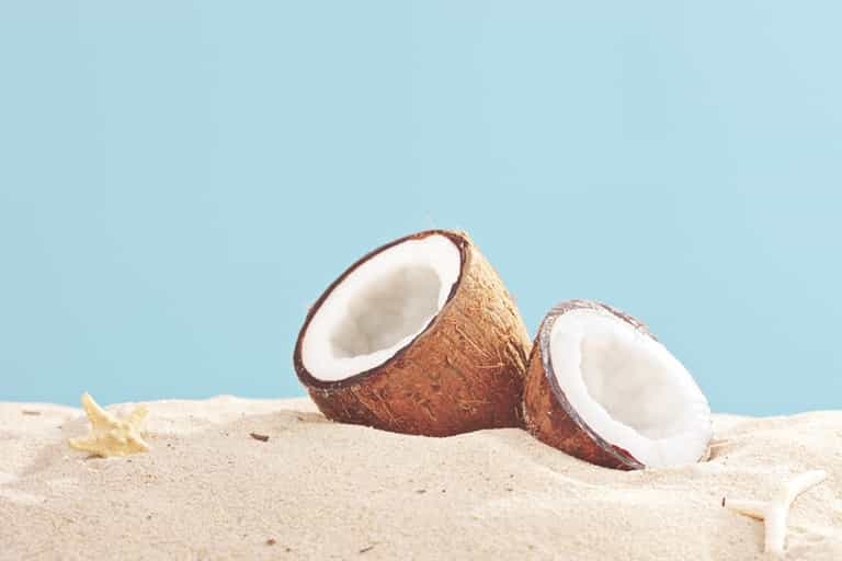 Go (Coco) Nuts: Three new ways to eat the prized fruit of the palm tree Go (Coco) Nuts: Three new ways to eat the prized fruit of the palm tree