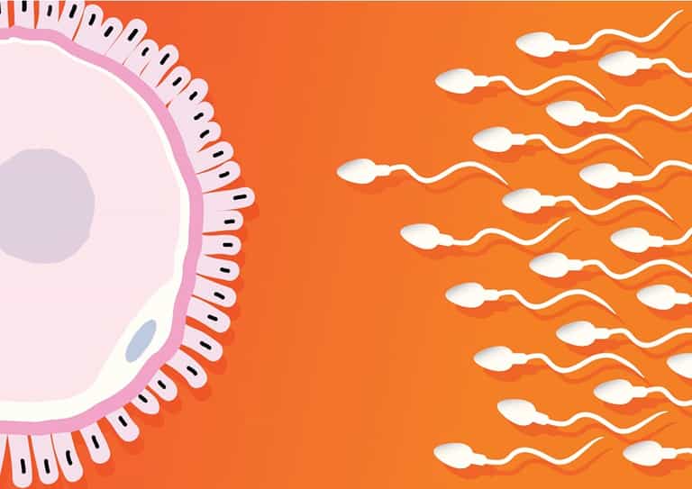 New Bill will make it difficult to access anonymous sperm and egg donation New Bill will make it difficult to access anonymous sperm and egg donation