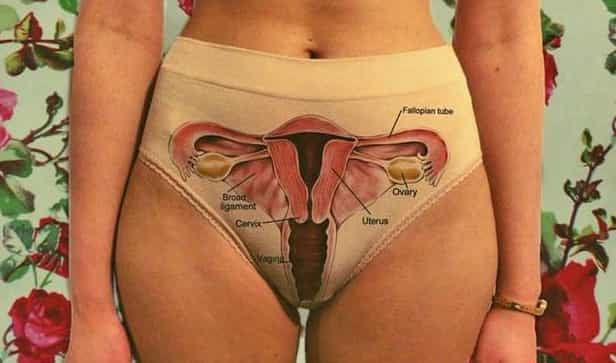 A Model vagina: Sharyn Hayden demands the full service