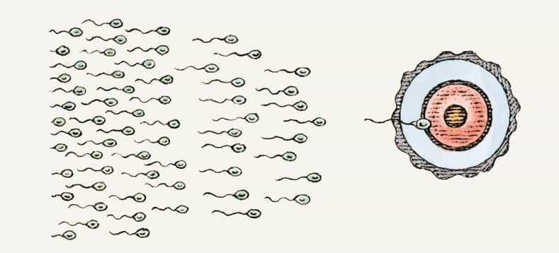Sperm killers: 8 things that are hazardous to sperm health