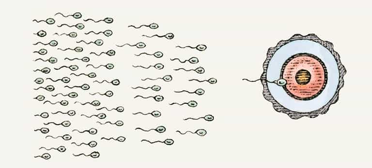 Sperm killers: 8 things that are hazardous to sperm health Sperm killers: 8 things that are hazardous to sperm health