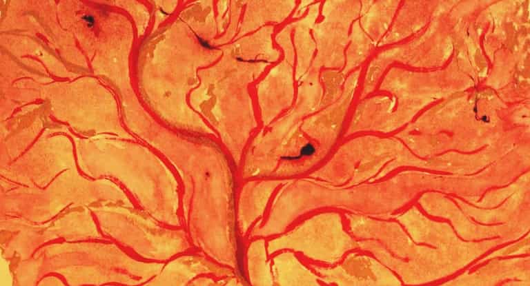 Life after birth: 9 curious customs involving the placenta Life after birth: 9 curious customs involving the placenta