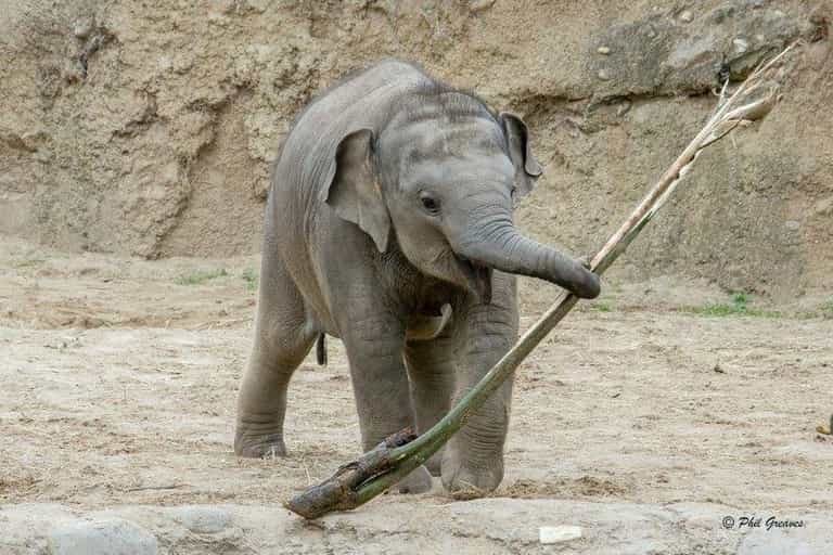 [CLOSED] COMPETITION: We’re giving away an annual family pass to Dublin zoo!
