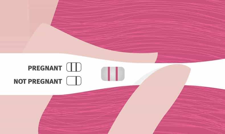 Scientists develop a model to ‘assist couples in planning the size of their families’