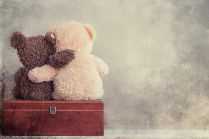 This Dublin spot is looking for people to give teddy bears a new home