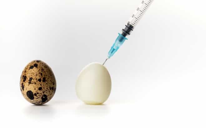Fresh or Frozen: The difficult debate for IVF Fresh or Frozen: The difficult debate for IVF