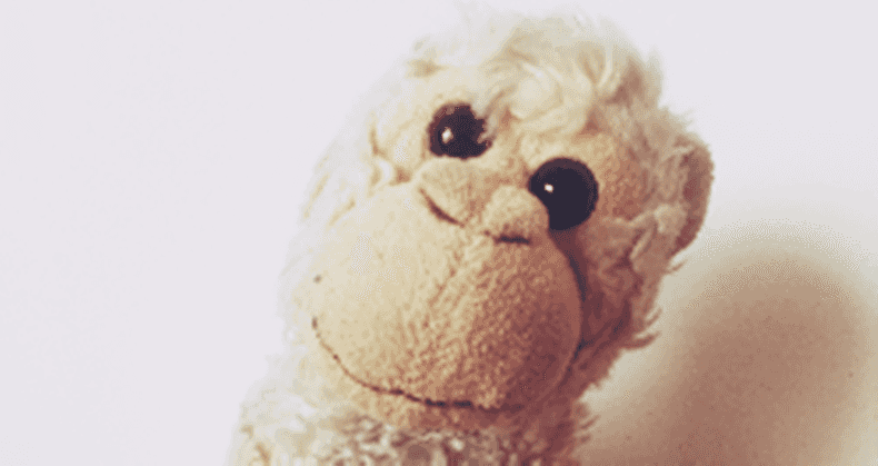 Injured Dad to WALK Dublin Marathon… and it’s all this monkey’s fault