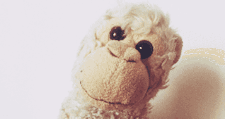 Injured Dad to WALK Dublin Marathon… and it’s all this monkey’s fault