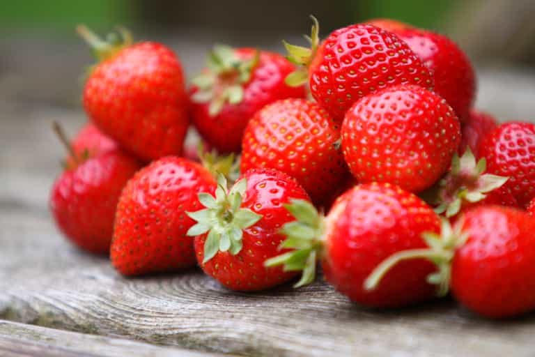 Like a munch between meals? Here’s 15 snacks that are all less than 50 calories