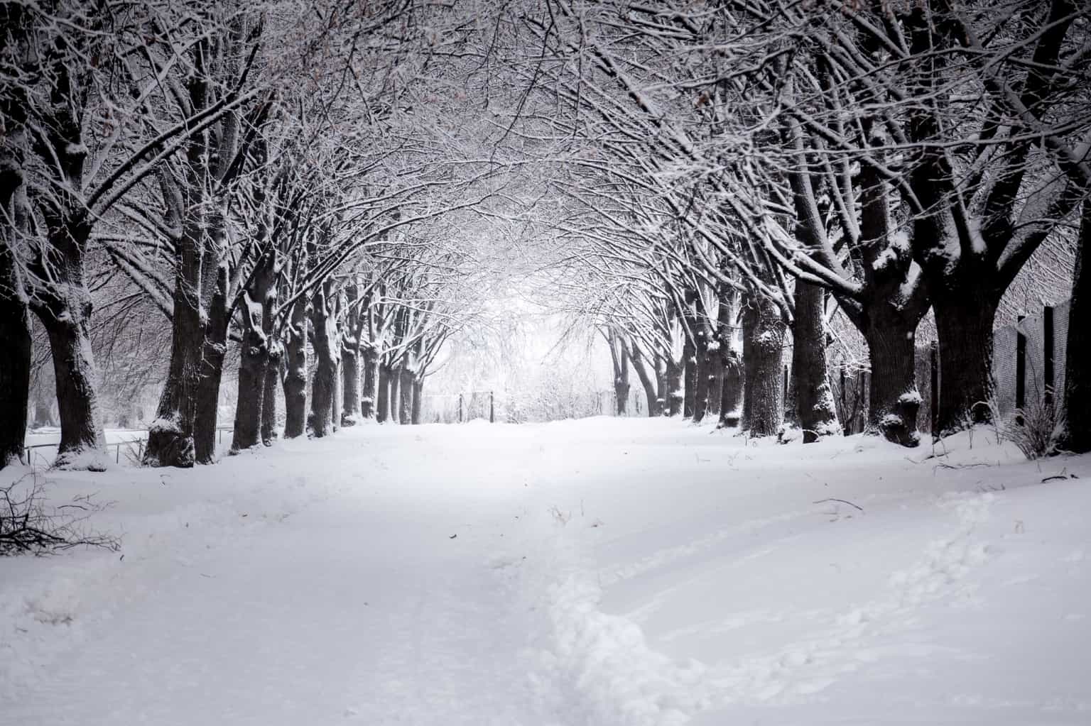 There’s “every chance” we’ll have a white Christmas