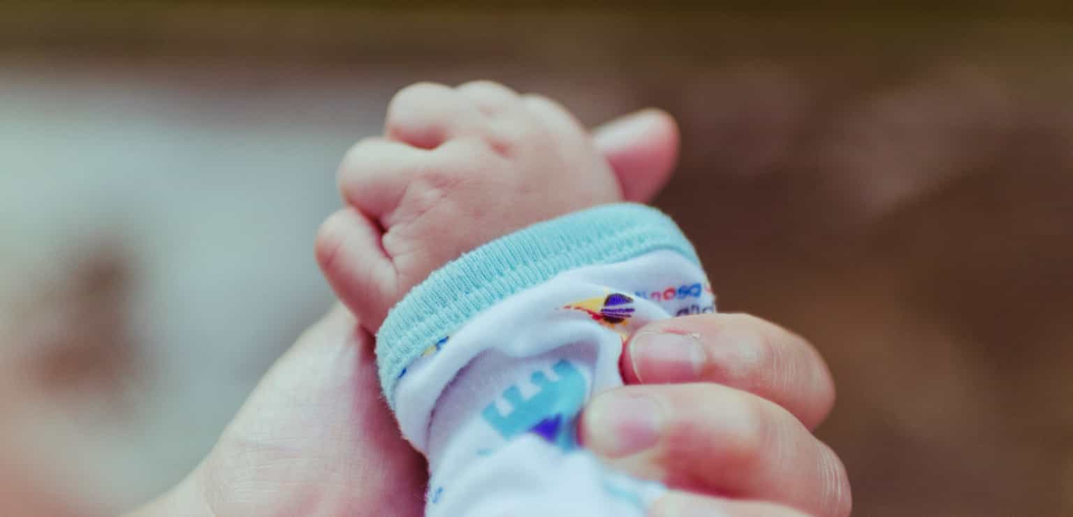 Zika Virus ‘Already In Ireland’ Says Doctor