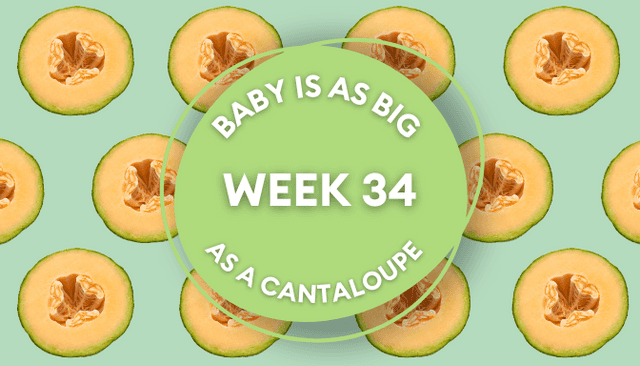 Your baby at 34 weeks pregnant: Week-by-week guide to development