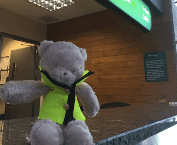 “Help me find my owner” – Cork airport’s adorable appeal to find this teddy’s companion