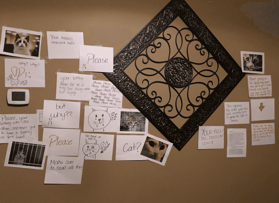 This young girl made a ‘wall of sorrow’ to guilt-trip her dad into getting a cat