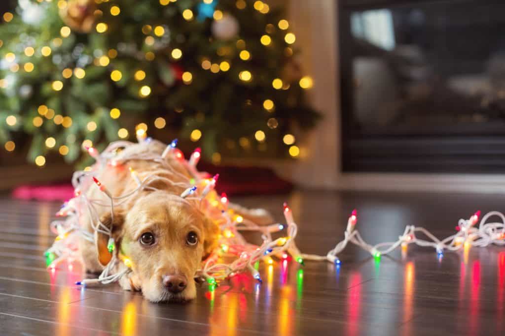 Bye bye January Blues! Here’s how you can nominate a friend for a New Year treat