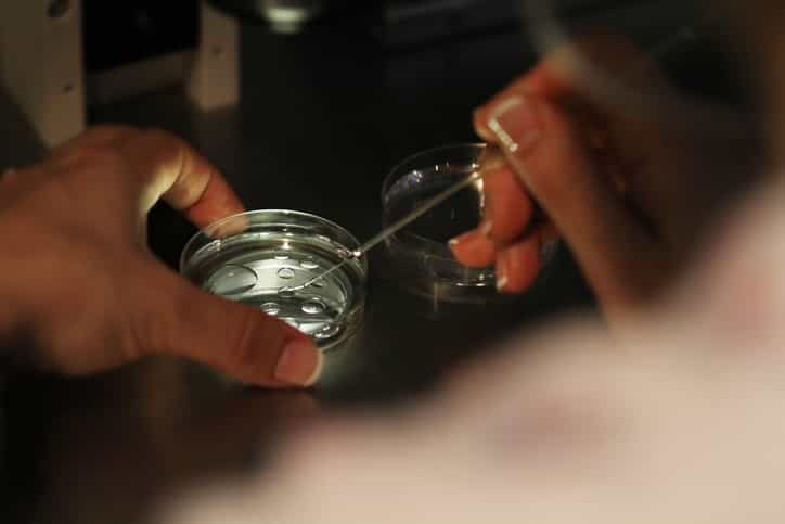 Concerns expressed over the viability of human eggs grown in lab
