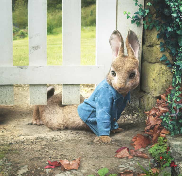 5 reasons we all adored Peter Rabbit growing up (and he’s making a BIG return!) 5 reasons we all adored Peter Rabbit growing up (and he’s making a BIG return!)