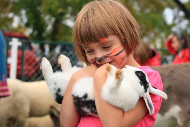 3 fun and family-friendly events to bring the kids to in Dublin this long weekend
