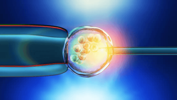 IVF clinic’s ‘selfie’ service allows patients to find look-a-like egg donors