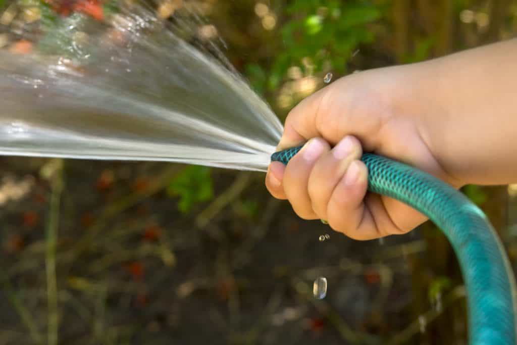 How Gardaí can prosecute anyone found in breach of the hosepipe ban