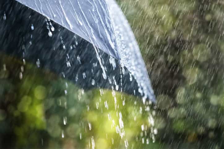 This is what causes that lovely ‘rain smell’ that happens after a downpour
