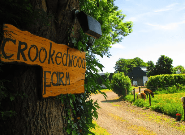 Seven picturesque working farms you and your family can stay at across Ireland