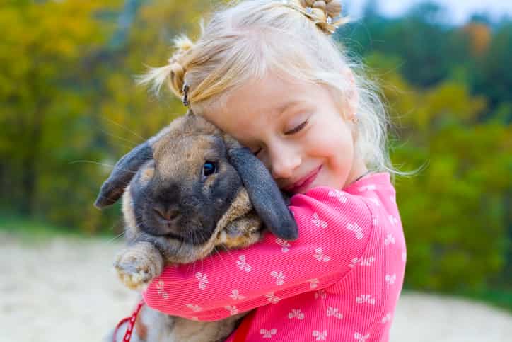 Mums, this Dublin pet expo will keep the kids entertained for the weekend Mums, this Dublin pet expo will keep the kids entertained for the weekend