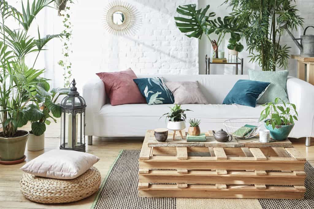 Penneys’ range of cute indoor plants means we can all create Insta-perfect spaces