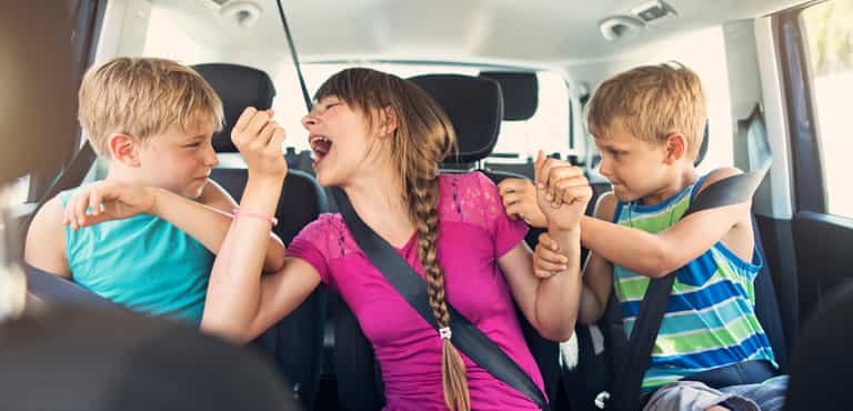 Children from bigger families ‘more likely’ to suffer sibling bullying
