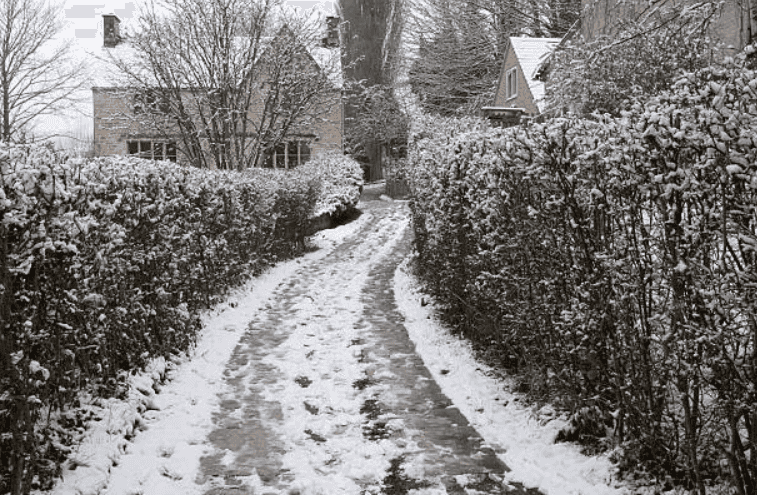 Animal welfare issue warning in Ireland after puppy dies from freezing weather