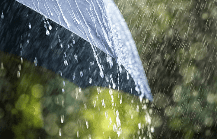 The weather forecast shows that we’re in for a day full of rain and thunder