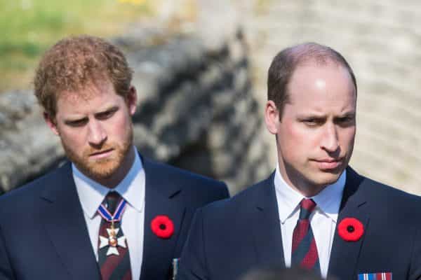 This is why Prince Harry and Prince William don’t work together anymore