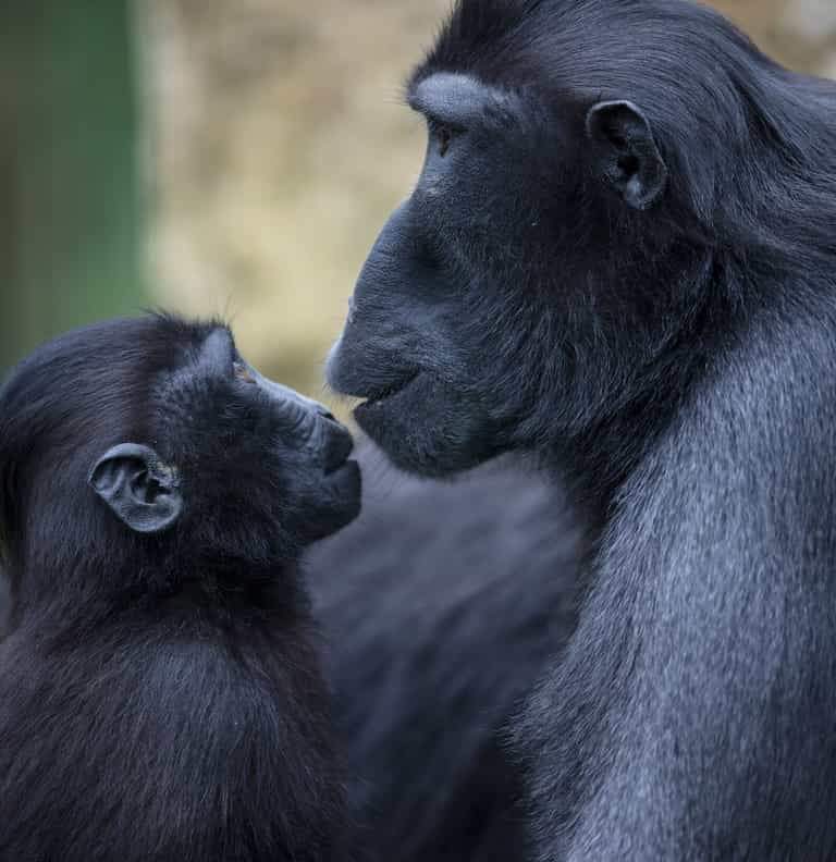 Tayto Park ‘LOVE YOUR ZOO’ Week returns next week and we can’t wait