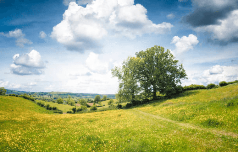 Met Éireann predict what the weather will be like for the Bank Holiday