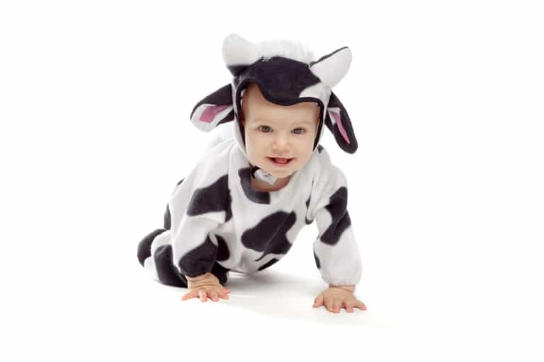 Video of little boy saying ‘moo’ in Welsh and Irish accents is just too adorable