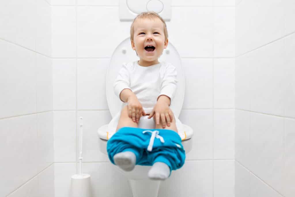 I just discovered ‘two-seat’ toilet seats for toddlers and I need one immediately