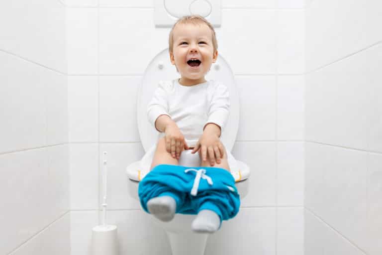 I just discovered ‘two-seat’ toilet seats for toddlers and I need one immediately