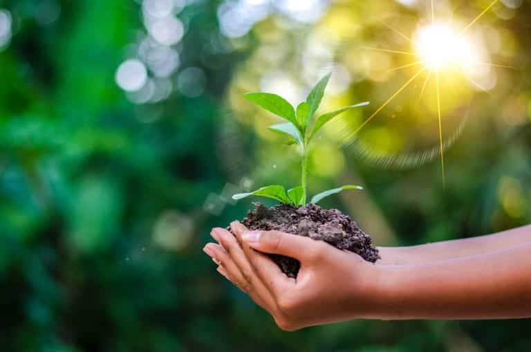 Electric cars and home retrofits: what you need to know about Ireland’s Climate Action Plan