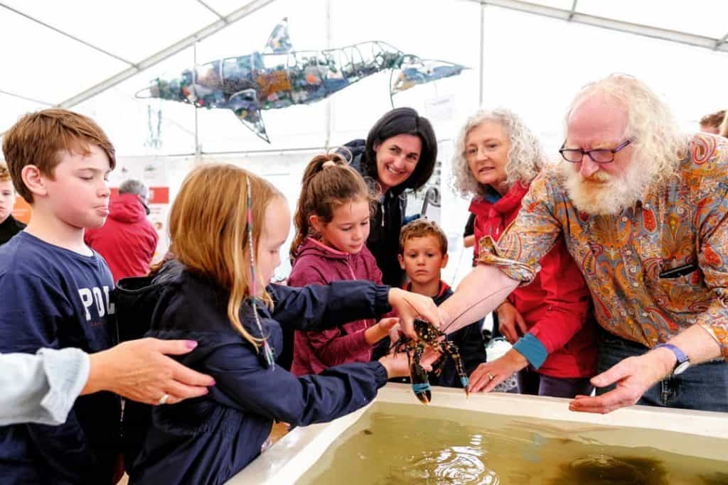 Free family-friendly events around sustainability to take centre stage at Galway festival