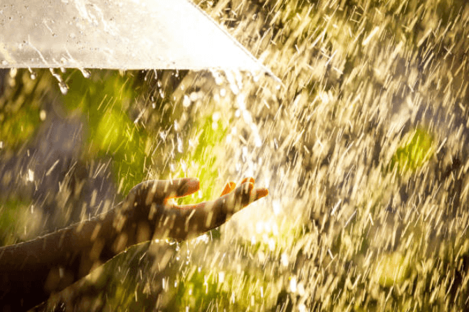 Bring a brolly because Met Éireann say the rain isn’t going to stop anytime soon