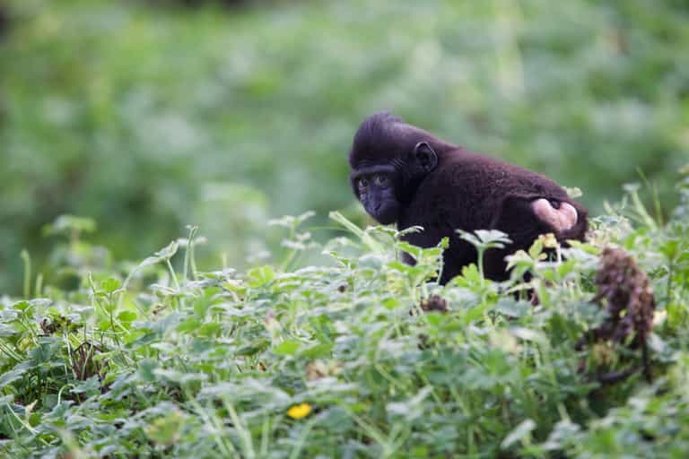 Dublin Zoo have launched an incredible date package for Valentine’s Day weekend