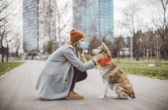 Myths and misinformation: Should I be worried about my pet during #Covid-19?