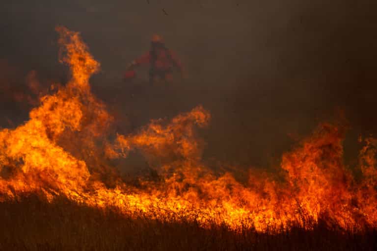 Gender reveal party triggers wildfire spanning 7,000 acres in California