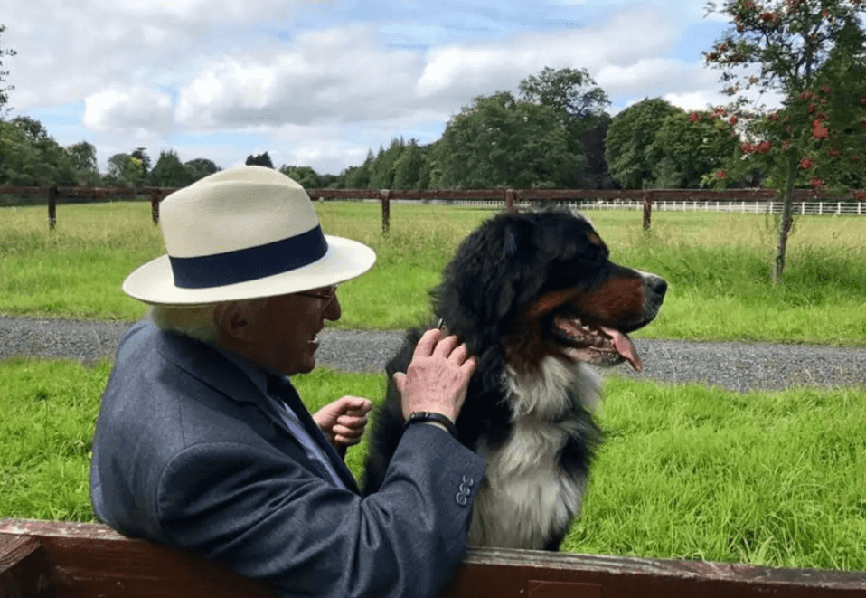 Good news: President Michael D Higgins is getting a new pony