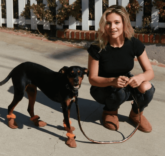 PSA: You can get Ugg boots for your dog now PSA: You can get Ugg boots for your dog now