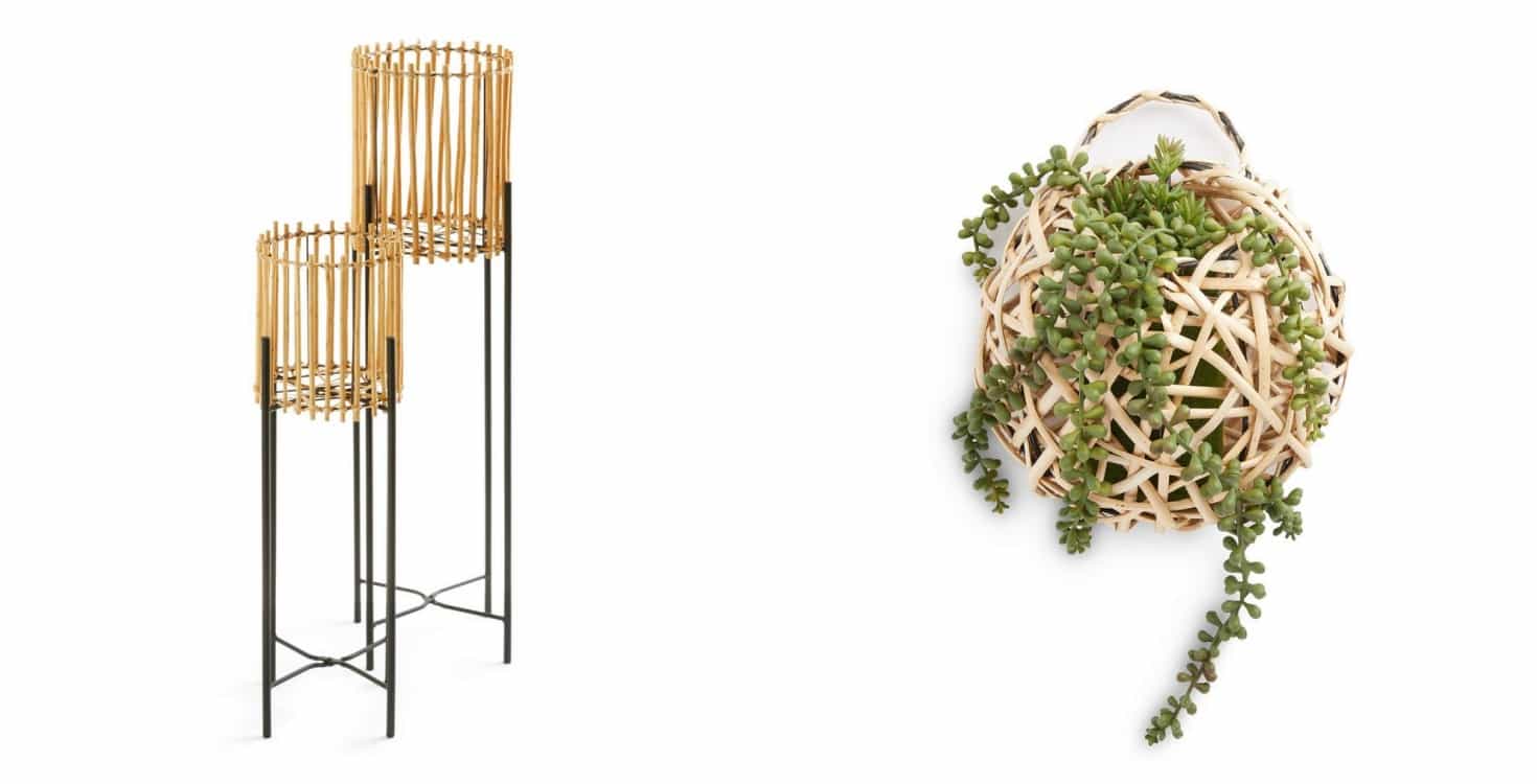 If you are obsessed with your plants, you need to get to Penneys ASAP