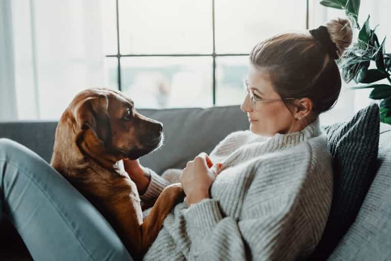 Channel 4 looking for wannabe dog owners for new dog rescue show Channel 4 looking for wannabe dog owners for new dog rescue show