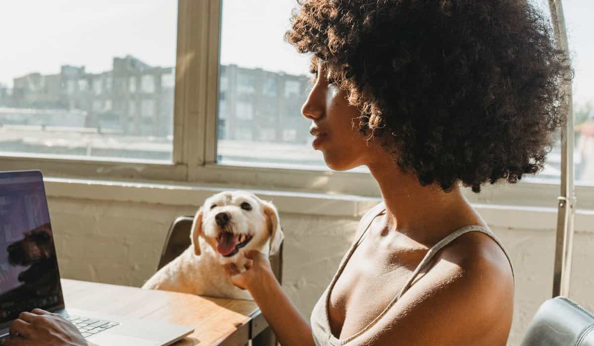 Study finds owners can pass on Covid-19 to cats and dogs