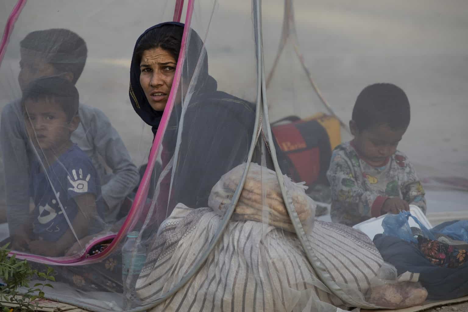 Afghan mothers try to “save their babies” from Taliban at Kabul airport